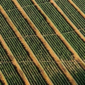 Meet your Posher, Valerie